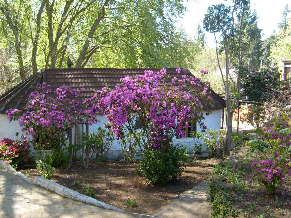 Kings Lodge Hotel Hogsback Eksteriør billede