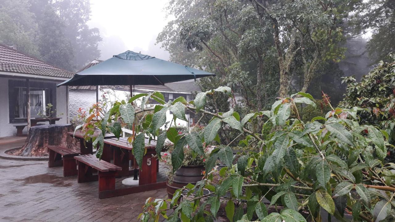 Kings Lodge Hotel Hogsback Eksteriør billede