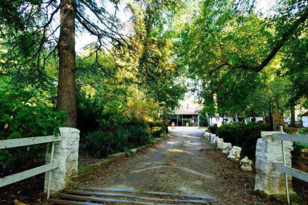 Kings Lodge Hotel Hogsback Eksteriør billede